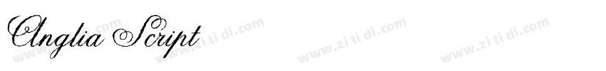 Anglia Script 普通西方字体转换